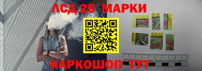 гидра Гатчина