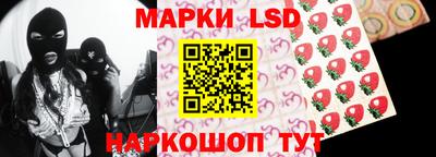 гидра Гатчина