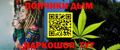 гидра Гатчина
