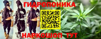 гидра Гатчина