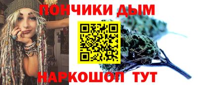 гидра Гатчина