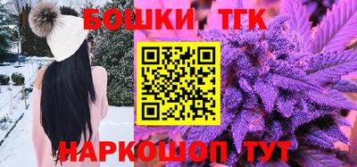 гидра Гатчина