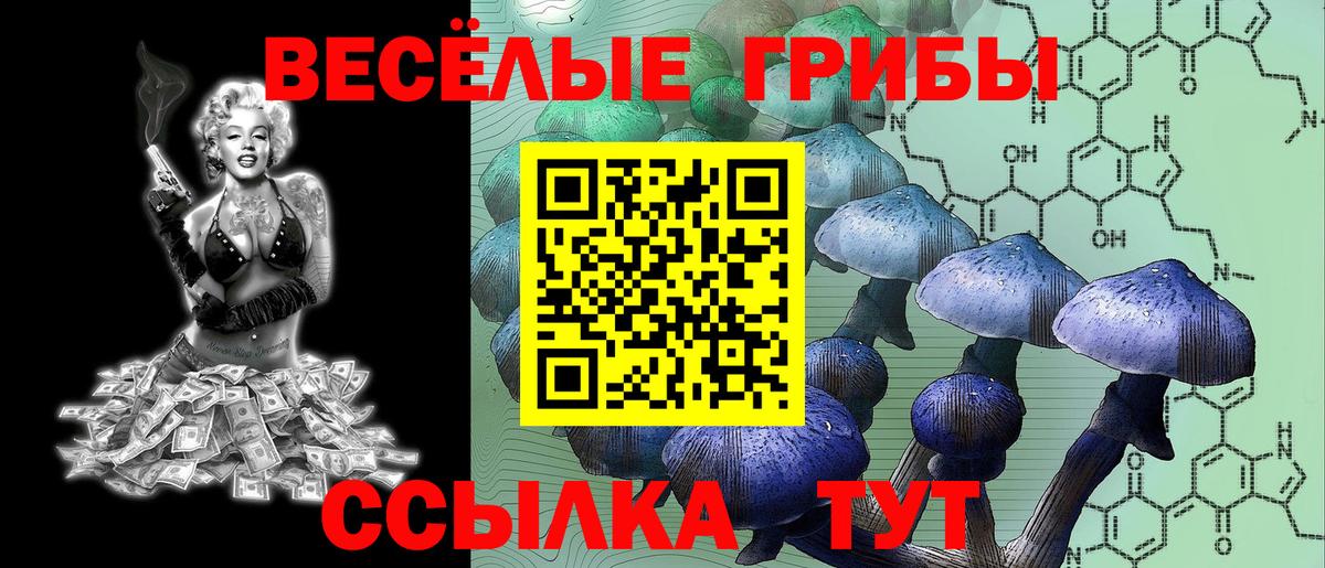 Новый Уренгой  Галлюциногенные грибы MAGIC MUSHROOMS  Вход с VPN 